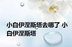 小白伊涅斯塔去哪了 小白伊涅斯塔 