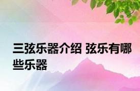 三弦乐器介绍 弦乐有哪些乐器