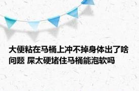 大便粘在马桶上冲不掉身体出了啥问题 屎太硬堵住马桶能泡软吗