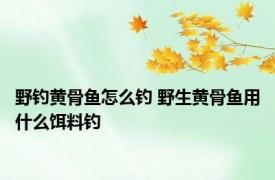 野钓黄骨鱼怎么钓 野生黄骨鱼用什么饵料钓