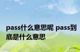 pass什么意思呢 pass到底是什么意思