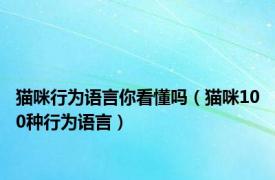 猫咪行为语言你看懂吗（猫咪100种行为语言）