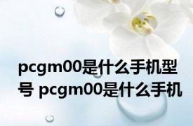 pcgm00是什么手机型号 pcgm00是什么手机