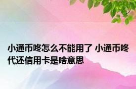 小通币咚怎么不能用了 小通币咚代还信用卡是啥意思