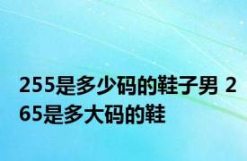 255是多少码的鞋子男 265是多大码的鞋