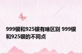 999银和925银有啥区别 999银和925银的不同点