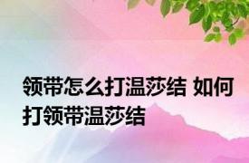 领带怎么打温莎结 如何打领带温莎结