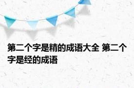 第二个字是精的成语大全 第二个字是经的成语