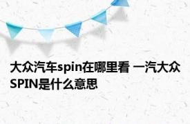 大众汽车spin在哪里看 一汽大众SPIN是什么意思