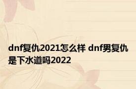 dnf复仇2021怎么样 dnf男复仇是下水道吗2022