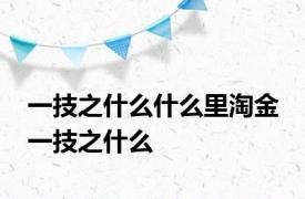 一技之什么什么里淘金 一技之什么