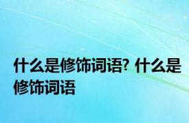 什么是修饰词语? 什么是修饰词语