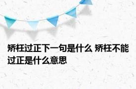 矫枉过正下一句是什么 矫枉不能过正是什么意思