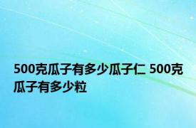 500克瓜子有多少瓜子仁 500克瓜子有多少粒