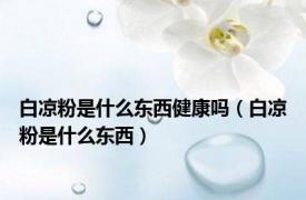 白凉粉是什么东西健康吗（白凉粉是什么东西）