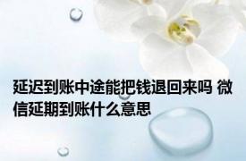 延迟到账中途能把钱退回来吗 微信延期到账什么意思