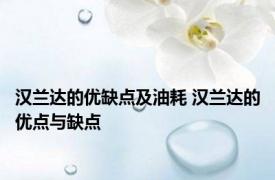 汉兰达的优缺点及油耗 汉兰达的优点与缺点