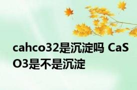 cahco32是沉淀吗 CaSO3是不是沉淀