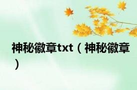 神秘徽章txt（神秘徽章）