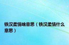 铁汉柔情啥意思（铁汉柔情什么意思）