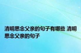 清明思念父亲的句子有哪些 清明思念父亲的句子