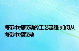 海带中提取碘的工艺流程 如何从海带中提取碘