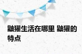 鼬獾生活在哪里 鼬獾的特点