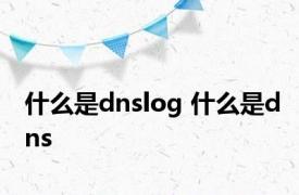 什么是dnslog 什么是dns