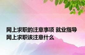 网上求职的注意事项 就业指导 网上求职该注意什么