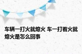 车辆一打火就熄火 车一打着火就熄火是怎么回事