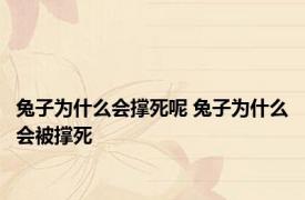 兔子为什么会撑死呢 兔子为什么会被撑死