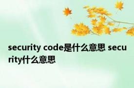 security code是什么意思 security什么意思 