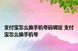 支付宝怎么换手机号码绑定 支付宝怎么换手机号