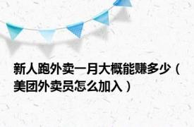 新人跑外卖一月大概能赚多少（美团外卖员怎么加入）