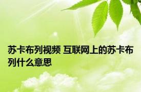 苏卡布列视频 互联网上的苏卡布列什么意思