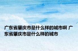 广东省肇庆市是什么样的城市啊 广东省肇庆市是什么样的城市