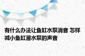 有什么办法让鱼缸水泵消音 怎样减小鱼缸潜水泵的声音