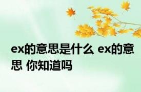 ex的意思是什么 ex的意思 你知道吗