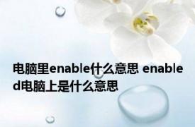 电脑里enable什么意思 enabled电脑上是什么意思