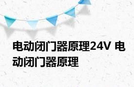 电动闭门器原理24V 电动闭门器原理