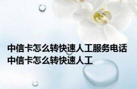 中信卡怎么转快速人工服务电话 中信卡怎么转快速人工