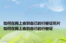 如何在网上查到自己的行驶证照片 如何在网上查到自己的行驶证