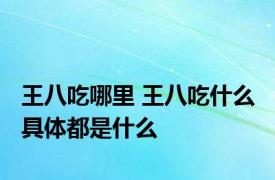 王八吃哪里 王八吃什么 具体都是什么