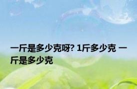 一斤是多少克呀? 1斤多少克 一斤是多少克