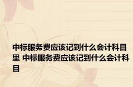 中标服务费应该记到什么会计科目里 中标服务费应该记到什么会计科目