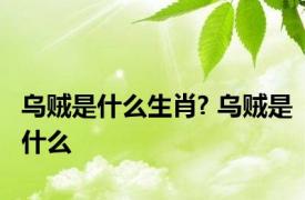 乌贼是什么生肖? 乌贼是什么