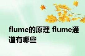 flume的原理 flume通道有哪些