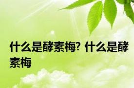 什么是酵素梅? 什么是酵素梅