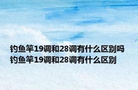 钓鱼竿19调和28调有什么区别吗 钓鱼竿19调和28调有什么区别