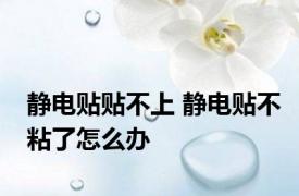 静电贴贴不上 静电贴不粘了怎么办